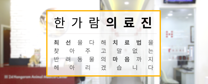 한가람 의료진