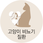 고양이 비뇨기질환