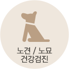 노견 / 노묘 건강검진